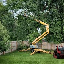Best Lawn Watering Services  in Marlboro Village, MD