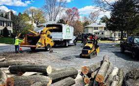 Best Lawn Drainage Solutions  in Marlboro Village, MD
